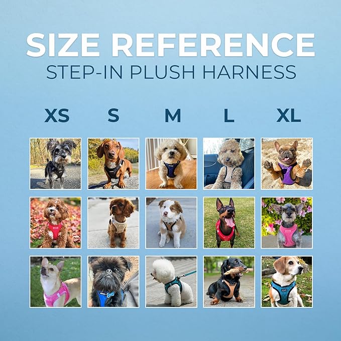 Best Pet Supplies - All Weather Mesh / Plush, Reflective, No Pull Harness for Small, Medium Dogs, Cats - Secure with Hook & Loop Fastener, Buckle, Double D-Rings - Black Plush, S