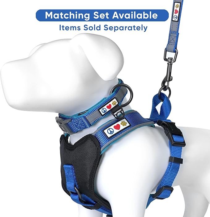 Pawtitas Personalized Dog Leash Embroidered Customize Your Pet Name & Phone Number Puppy Reflective 6 ft Long Small Blue Custom Tag Name, Blue Reflective 🔦 Padded