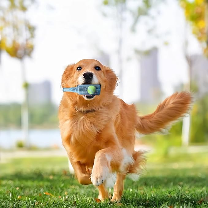 Wine Bottle Dog Toy, Fun Interactive Cute Squeaky Dog Toys with Tennis Ball Inside, Ideal for Large/Medium/Small Dogs to Fetch Games and Bonding Time, Not for Heavy Chewers, Medium-Blue