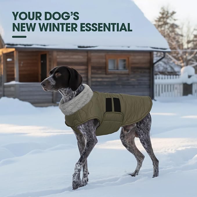 Kuoser Dog Jackets for Small Dogs, Warm Dog Coat with Leash Hole, Winter Jacket Pet Clothes for Cold Weather, Waterproof Doggie Winter Vest for Pug Dachshund, Green S