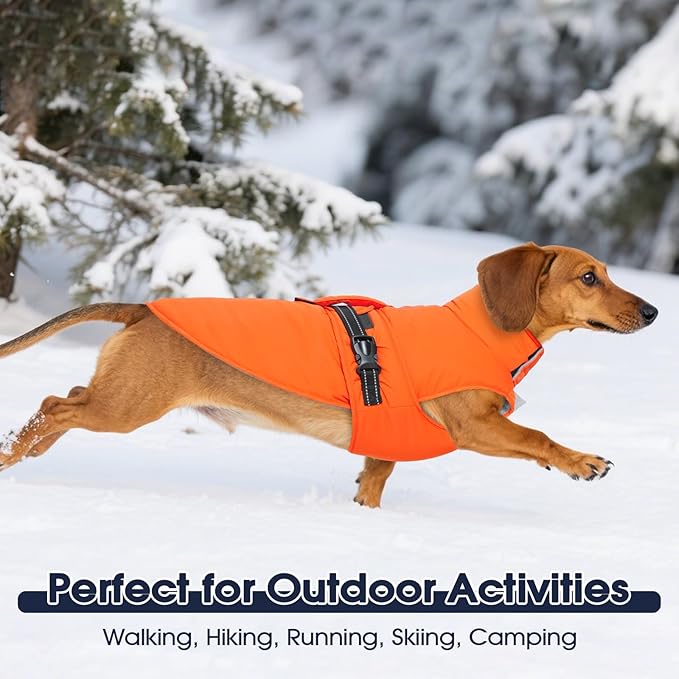 IECOii Dog Jackets for Large Dogs Winter - Reflective, Adjustable & Windproof Winter Coat with Comfortable Fleece Lined Vest for Daily Walk, Running, Ski Trips, Waterproof, Orange, Size 2XL