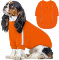 Queenmore Cozy Fleece Dog Sweater XS, Soft Pullover Dog Sweatshirt, Warm Winter Fleece Jacket with Leash Hole/Reflective Stripes for Small Medium Large Dogs Orange