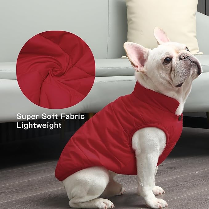 2 Layers Fleece Lined Warm Dog Jacket for Winter Cold Weather,Soft Windproof Medium Dog Coat,Red L