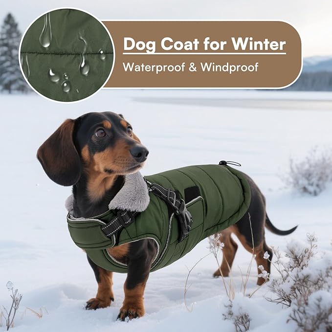 Queenmore Small Winter Dog Coat with Harness Built-in, Waterproof Winter Jackets for Small Dogs, Puppy Warm Puffer Jacket for Snow/Cold Weather - Fleece Reflective Easy On Velcro Closure, Green S