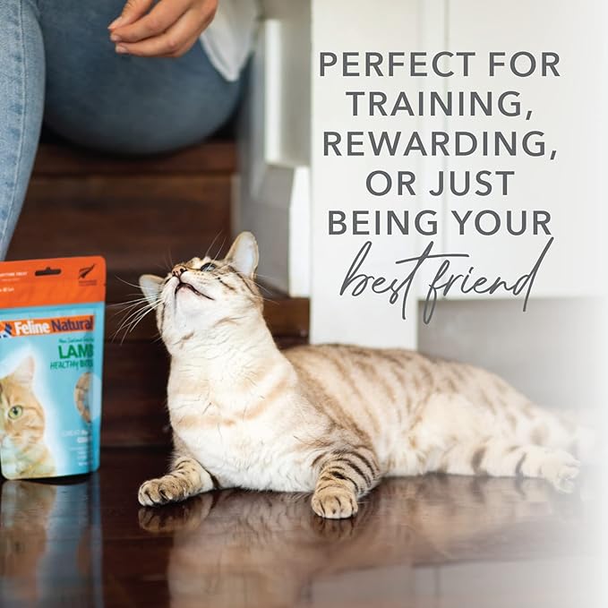 Feline Natural Freeze Dried Cat Treats – New Zealand Single-Source Protein Treats for Cats - Grain-Free Healthy Cat Snacks, Beef Bites, 1.76oz