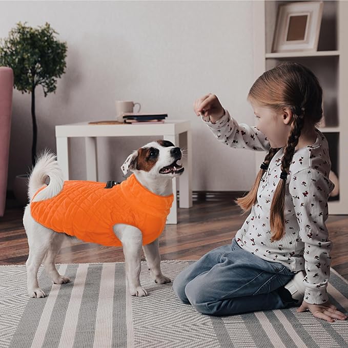 Kuoser Medium Dog Coat | All-Breed Thermal Wear with Windproof Layer | Reflective Tabs Enhance Visibility in Snow, Snap Buckles Simplify Dressing, Orange M