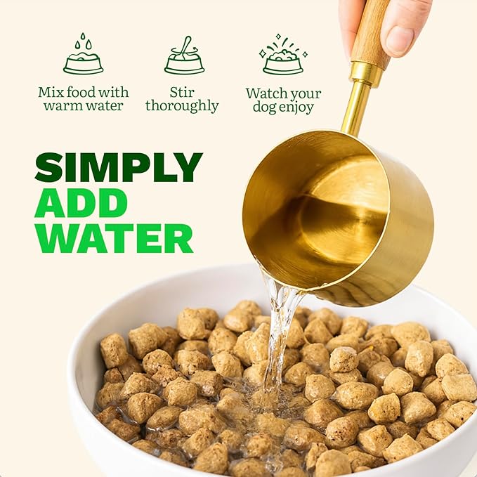 Get Joy Freeze Dried Raw Beef Dog Food, High Protein Grain Free Meal, Topper & Treat, Gut Health Support with Probiotics, Small to Large Breed, 32oz Bag