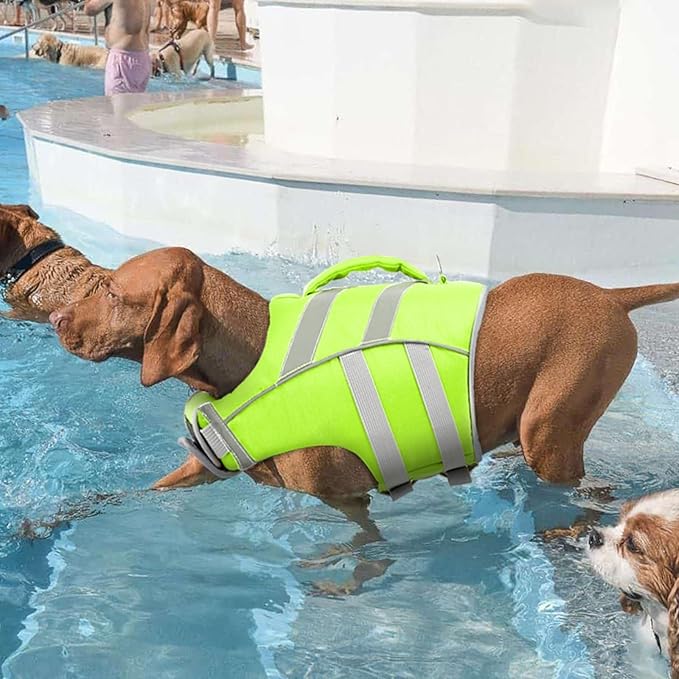 Kuoser Small Dog Life Jacket with Reflective Stripes, Adjustable High Visibility Dog Life Vest for Swimming & Boating, Green XS