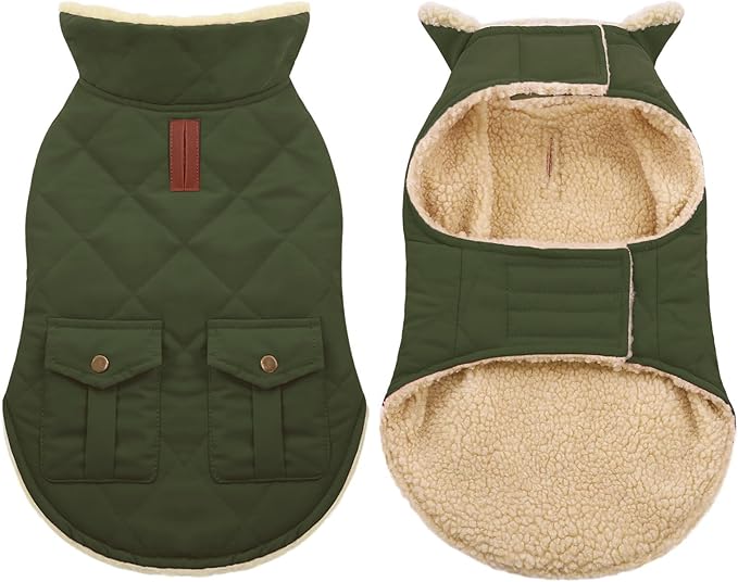 ASENKU Warm Dog Winter Coat, Waterproof Dog Coat for Cold Weather, Fleece Dogs Jacket with Ultra Thick Plush Lining Leash Hole Storage Pockets for Medium Large Dogs (Green, Large)
