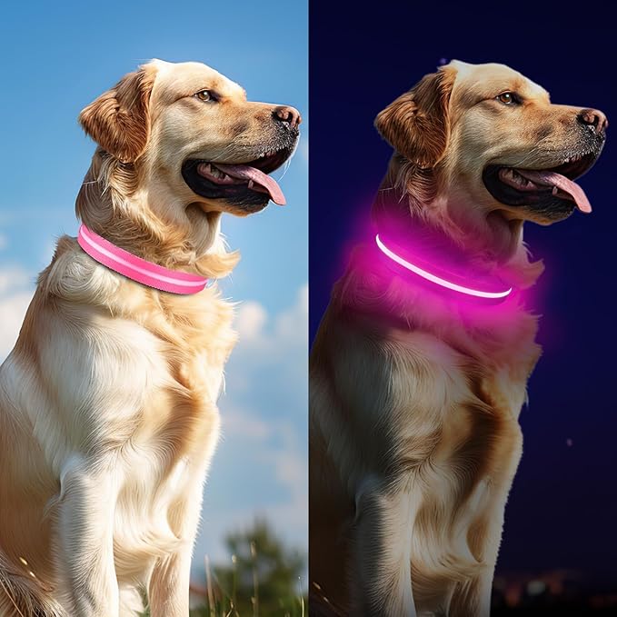 Light Up Dog Collar, Adjustable USB Rechargeable Glow in Dark Dog Collar ，Waterproof Dog Collars for Medium Dogs (Pink, Medium)