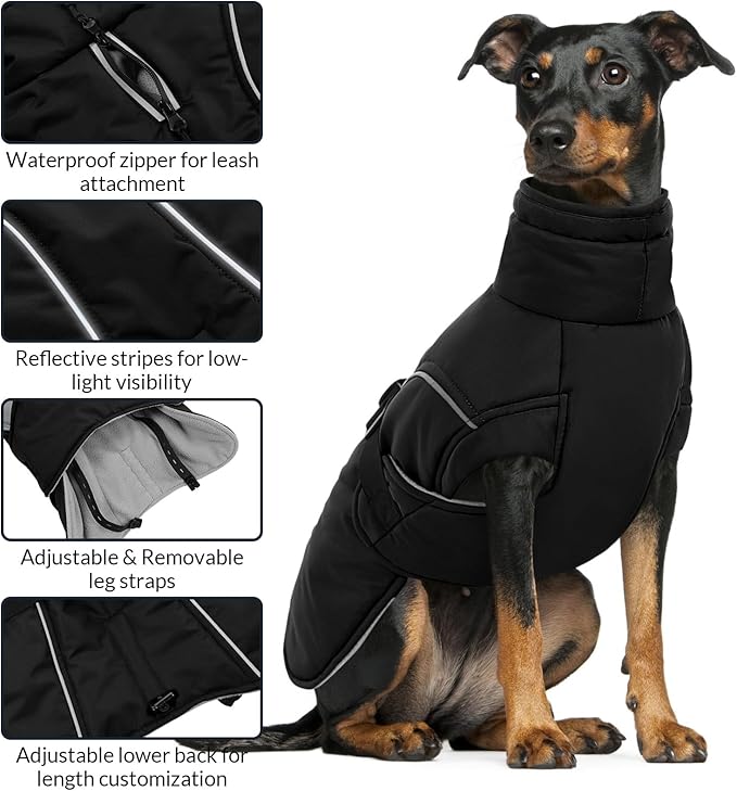 Queenmore Winter Dog Coat Warm Dog Jacket Vest Waterproof Puffer Fleece Snowsuit Adjustable Buckle Leash Hole Reflective Cold Weather Parka for Small Medium Large Dogs Girl Boy Black S
