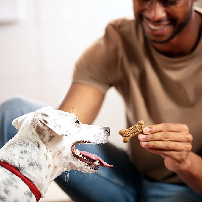 Milk-Bone Flavor Snacks Dog Treats, Small Biscuits, Crunchy Texture Helps Reduce Tartar 14lbs (2 Pack of 7lbs)