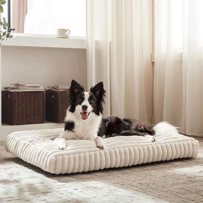 Dog Beds for Small Dogs, Flat Pet Beds with Removable Washable Cover, Pet Mat Cute Dog Crate Bed Thick Shredded Chopped Crate Foam & Anti Slip Bottom for Indoor, 23"x18"x3" Cream