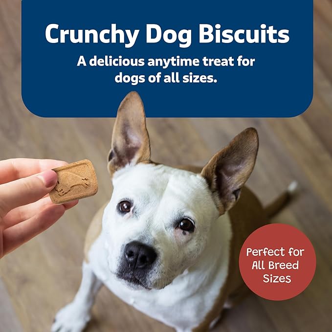 Blue Buffalo Health Bars Crunchy Dog Biscuits, Oven-Baked With Natural Ingredients, Beef, 16-oz Bag