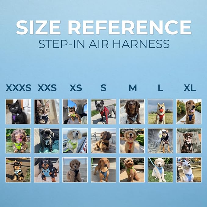 Best Pet Supplies Voyager Step-in Air Harness - All Weather Mesh, Reflective, No Pull Harness for Dogs, Cats - Secure with Hook & Loop Fastener, Buckle, Double D-Rings - Turquoise, L