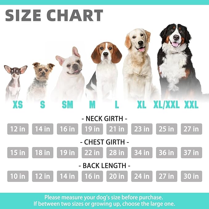 KOOLTAIL Basic Dog Hoodie - Soft and Warm Pet Hoodie Sweater with Leash Hole and Pocket, Dog Winter Coat, Cold Weather Clothes Sweatshirt for Small Medium Large Dogs Puppy Cat Boys Girls Lake Blue L