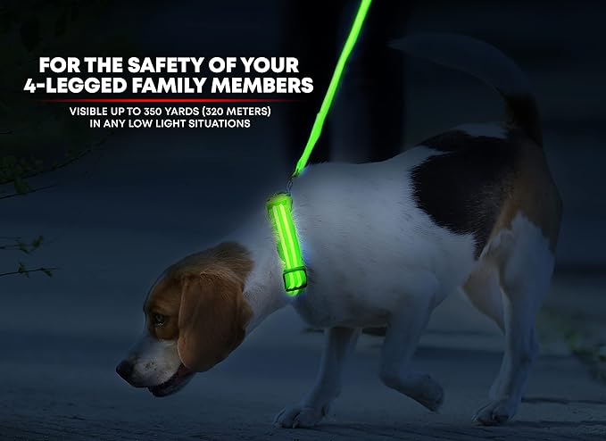 ILLUMISEEN LED Dog Collar USB Rechargeable - Bright & High Visibility Lighted Glow Collar for Pet Night Walking - Weatherproof, in 6 Colors & 6 Sizes (Green X-Small)