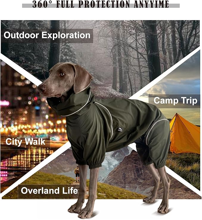 Dog Lightweight Windbreaker, Dog Outdoor 4-Legs Jacket, 0.5 lbs,Durable Water Repellent, Hooded, Easy on/Off with Collar and Harness, Reflective, Packable,Dark Olive (XXX-Large)