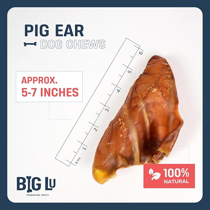 Big Lu – Pig Ear Dog Chews, 6 Count, All-Natural Single-Ingredient Pork Treats, Easily Digestible, Supports Joint Health with Glucosamine and Chondroitin
