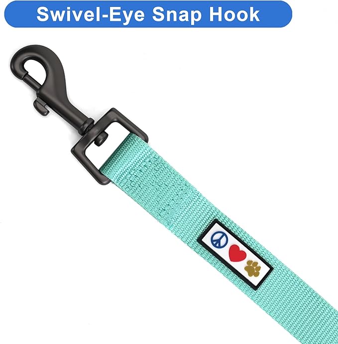 Pawtitas 6 FT Solid Color Comfortable Handle Dog Training Leash - Medium/Large, 6 ft Teal