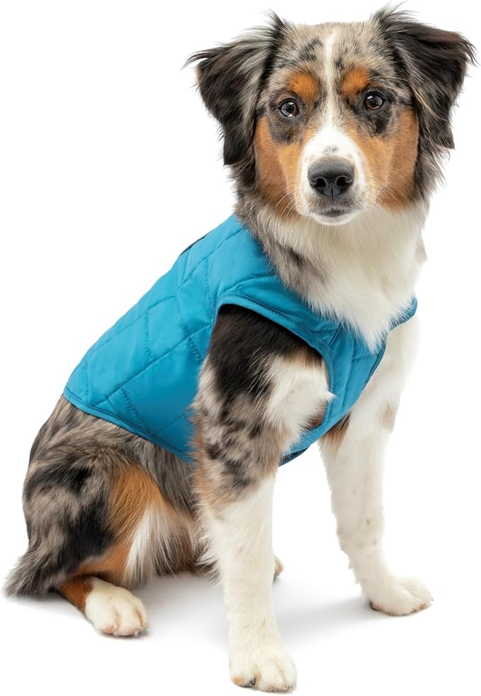 Kurgo Loft Dog Jacket - Reversible Cozy Coat for Outdoor Adventures - Water Resistant - Athletic Fit - Machine Washable Fabric - Reflective Dog Gear - Medium - Coastal Blue