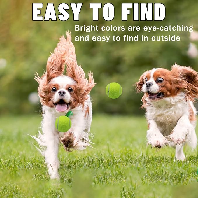 Magicorange Small Tennis Balls, 20 Pack 2 inch Tennis Balls for Dogs, Colorful Easy Catching Pet Dog Playing Ball with Mesh Bag for Easy Transport(Multicolor, 2 inch)