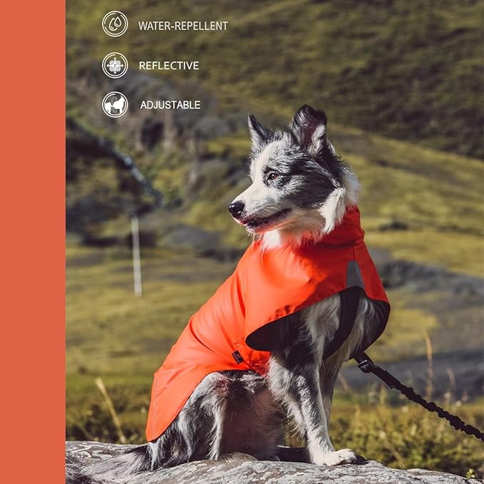 Dog Water-Repellent Raincoat Jacket, Lightweight Reflective Waterproof Clothes for Small Medium Large Dogs, Outdoor for Fall & Spring (Orange, M)
