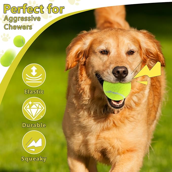 Swingers Squeaky Tennis Balls for Dogs,2.5 inch Training Tennis Balls,Exercise Ball for Pet Dog with Mesh Carry Bag Easy to Transport (Multicolor, 60 Pack)