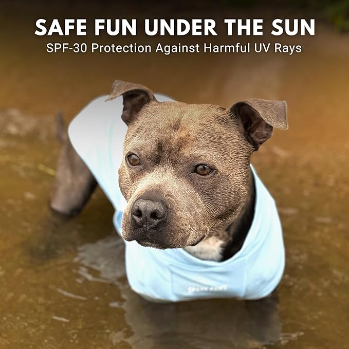 Spark Paws Sunblock Dog T-Shirt, SPF30 Protection, Lightweight Breathable Quick Dry for Dogs with Sensitive Skin - Blue & Grey (Set of 2) - M