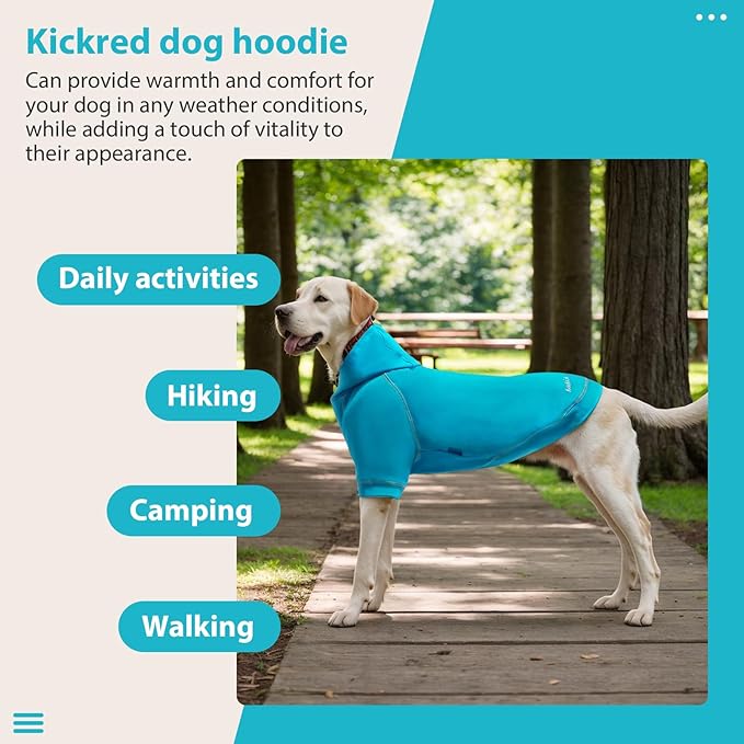 Basic Dog Hoodie Sweatshirts, Pet Clothes Hoodies Sweater with Hat and Leash Hole, Soft Cotton Outfit Coat for Small Medium Large Dogs, Royal Blue (X-Large)