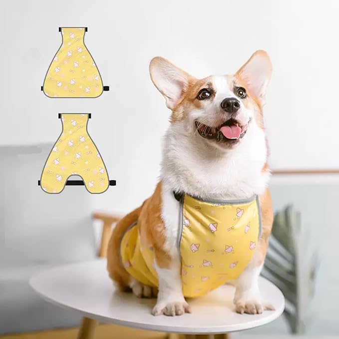 Waterproof Belly Shield for Corgis & Dachshunds – Adjustable underbelly Protector. Male/Female Designs. Stays Dry in rain, mud & Grass. Ideal for Sensitive Skin (Yellow - Male, M)