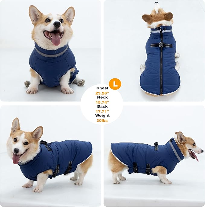 Dog Coat with Harness Built-in, Waterproof Reflective Fleece Lined - Warm Windproof Winter Jacket with Back Zipper, Cold Weather Snow Dog Coats - Blue - L