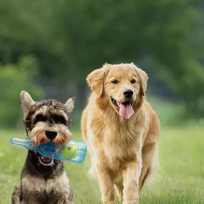 Wine Bottle Dog Toy, Fun Interactive Cute Squeaky Dog Toys with Tennis Ball Inside, Ideal for Large/Medium/Small Dogs to Fetch Games and Bonding Time, Not for Heavy Chewers, Medium-Blue
