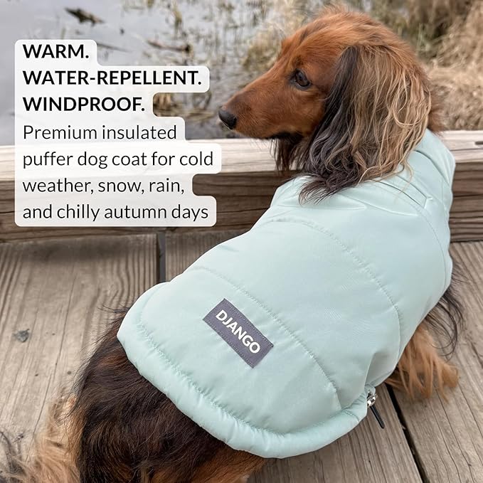 DJANGO Puffer Dog Coat – Warm Winter Dog Jacket & Water-Repellent Insulated Puffer Vest with Striped Lining, Harness Hole, Adjustable Fit for Small & Medium Dogs, Dachshunds – Sea Foam Green, Medium