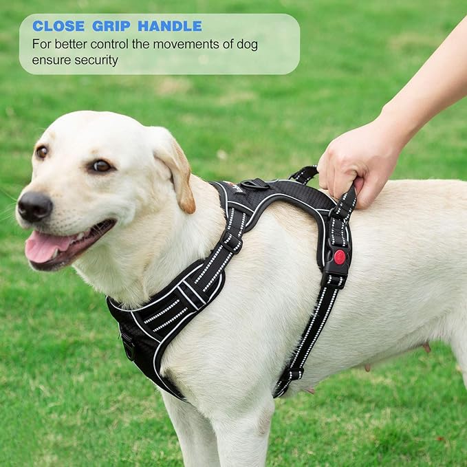 No Pull Dog Harness Adjustable Reflective Oxford Easy Control Medium Large Dog Harness with A Free Heavy Duty 5ft Dog Leash (S (Neck: 13"-18", Chest: 17.5"-22"), Purple Harness+Leash)