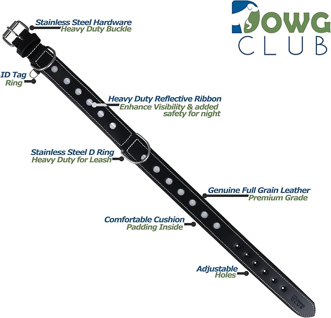 Genuine Leather Reflective Dog Collar | Stellar Series | Safe for Night Walking | Soft, Cushion Padding, Handmade | Best for Small, Medium, Large, XL (M (Fit Neck Size 14.5"-18.5"), Raven)
