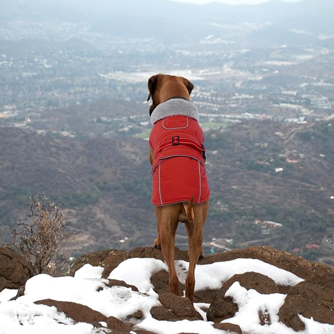 Lelepet Warm Dog Coat - Reflective Waterproof Fleece Vest with Adjustable Buckle Hook & Loop, Windproof Winter Jacket Dog Coats for Small Medium Large Dogs, Red, L
