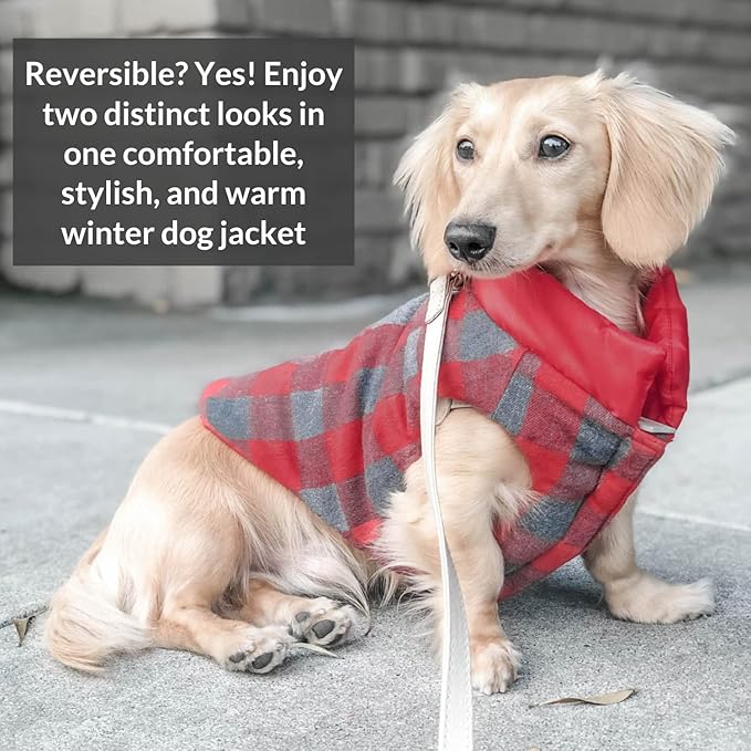 DJANGO Reversible Puffer Dog Coat – Warm Winter Dog Jacket & Water-Repellent Insulated Dog Coat with Harness Hole, Windproof, Adjustable Fit for Small & Medium Dogs, Dachshunds – Lava Red, Small