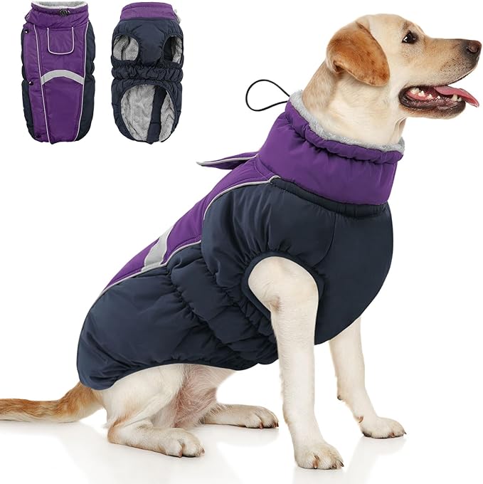 Queenmore Warm Fleece Dog Jacket - Cold Weather Waterproof Dog Snowsuit, Reflective Turtleneck, Purple, XL