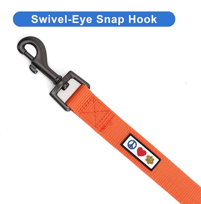 Pawtitas 6 FT Comfortable Leash - Solid Color, Extra Small to Small Sizes, Orange, Ideal for Puppy Training