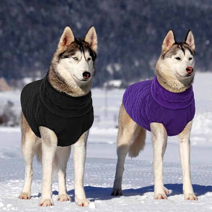 Kuoser XXL Winter Coat | Giant Breed Armor for Mastiffs & Great Danes | Zippers Secure Dogs in -20°F, Reflective Panels for Mountain Hikes, Purple XL