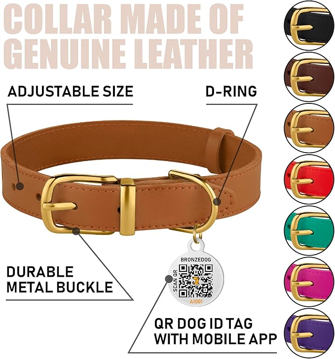 BRONZEDOG Leather Dog Collar with Metal Buckle Durable Basic Pet Collars for Small Medium Large Dogs (13-16 Inch (Pack of 1), Light Brown & Gold Buckle)