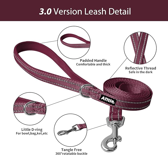 AIITLE Small Harness for Puppy with A Leash - Summer Dog Vest Harness with Super Breathable Mesh, Reflective No-Pull Pet Harness for Outdoor Walking, Camping for Small Dogs, Cats Burgundy XXS