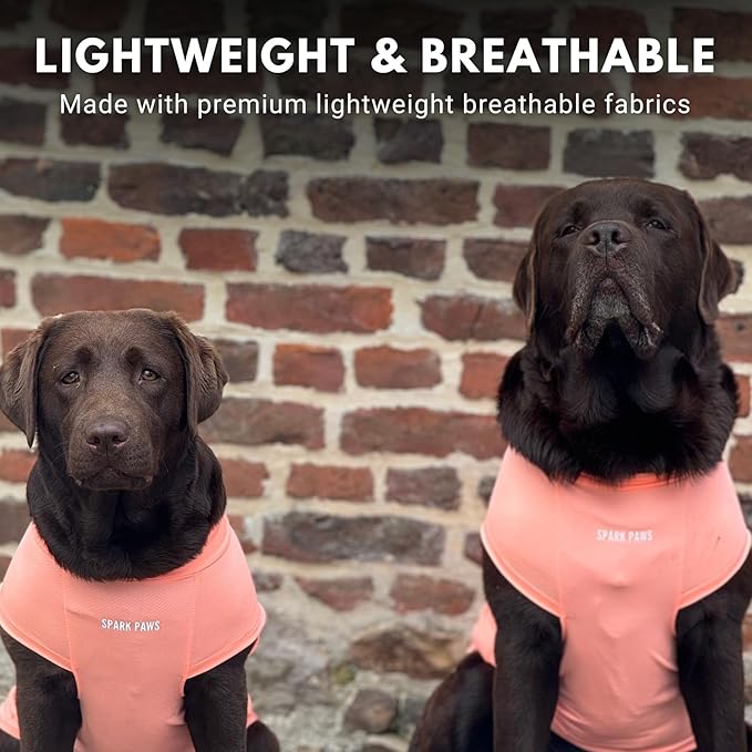 Spark Paws Sunblock Dog T-Shirt, SPF30 Protection, Lightweight Breathable Quick Dry for Dogs with Sensitive Skin - Peach & Mint (Set of 2) - 5XL