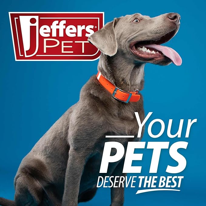 Jeffers Pet Plush Dog Toy with Squeaker, Light Blue Bunny 14" - Soft Crinkle Fabric, Safe & Durable, Healthy Fun for Small & Medium Dogs, Interactive Play, Fetch, Tug - Best Gift for Active Games