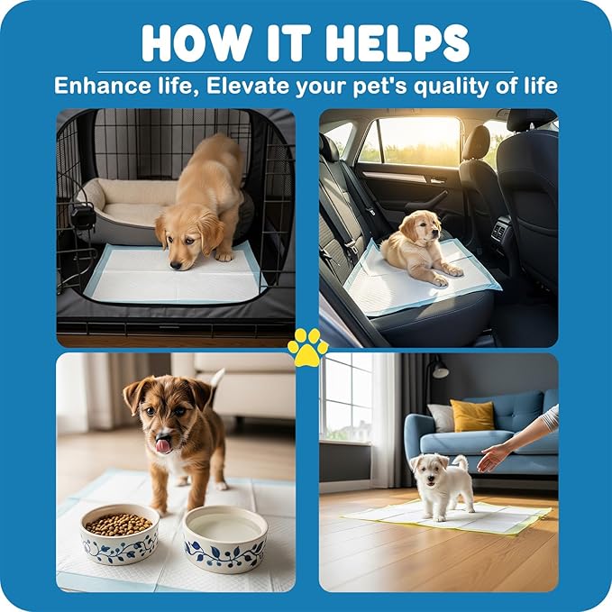 MoMoCo Puppy Pads, 23"x23"-100 Count Dog Pads, Super Absorbent Extra Large Disposable Dogs Training Pads , Leak-Proof, Quick-Drying Dogs Potty Pads for Doggies Puppies