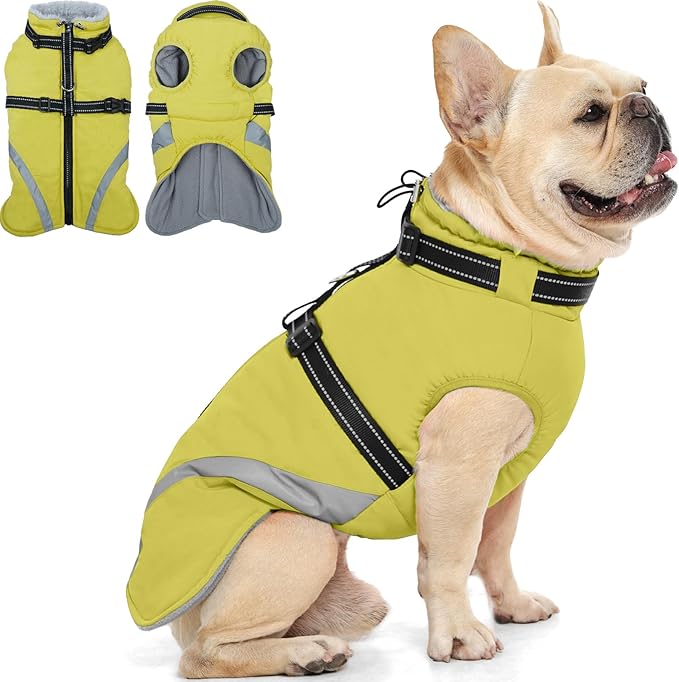 QBLEEV Small Dog Coat, Dog Jackets for Small Dogs, Winter Warm Waterproof Chihuahua Cold Weather Vest with Harness, Windproof Puppy Yorkie Reflective Fleece Dogs Snowsuit for Maltese, Green, S