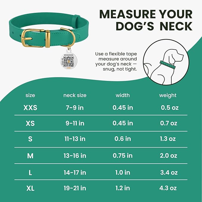BRONZEDOG Leather Dog Collar with QR ID Tag Basic Pet Collars for Small Mini Dogs Cats Puppies (7-9 Inch (Pack of 1), Green & Gold Buckle)