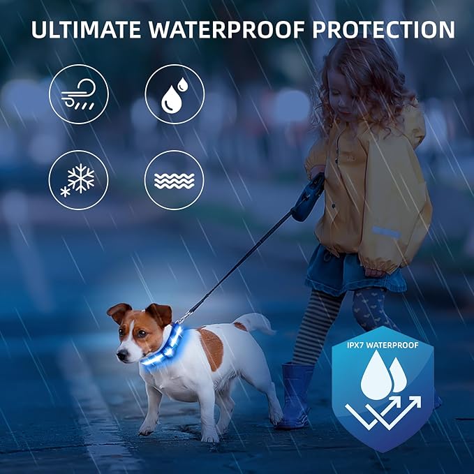 Super Bright LED Dog Collar - Fully Waterproof & Adjustable Glow Collar - USB-C Rechargeable for Night Walking, Safety - Flashing Lighted Collar for Dogs(Blue,Large)