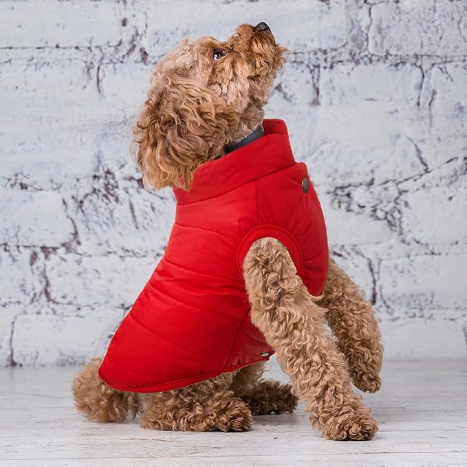 Syhood 2 Pieces Dog Jacket 2 Layers Fleece Lined Dog Jacket Warm Soft Windproof Small Pet Coat for Winter Cold Weather (Xs,Navy, Red)